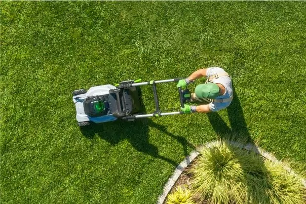 Rasensamen kaufen Rasensaatgut Globus Baumarkt